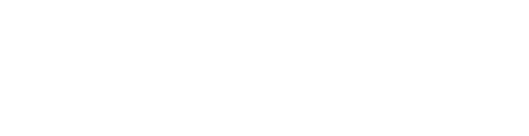 vélomane typo logo